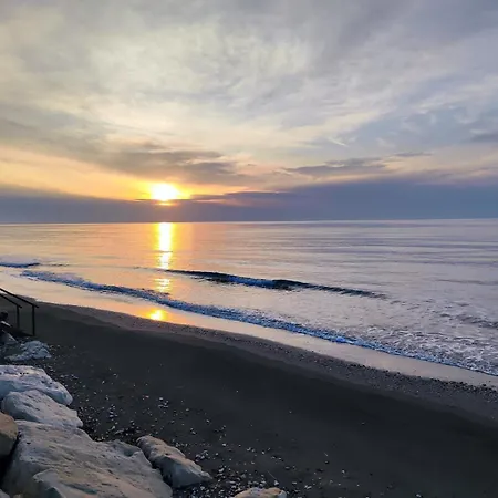 Beachfront Carpe Diem *