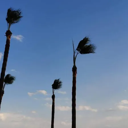 Beachfront Carpe Diem Dhromolaxia