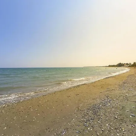 Beachfront Carpe Diem *