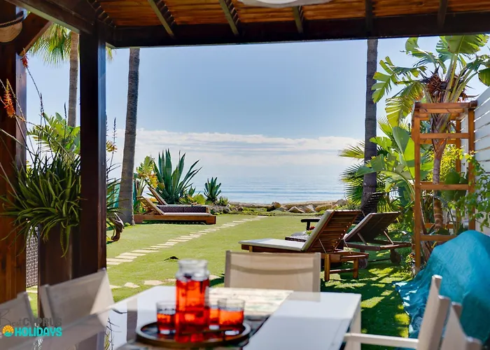 Beachfront Carpe Diem